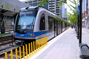 Charlotte Lynx Blue Line